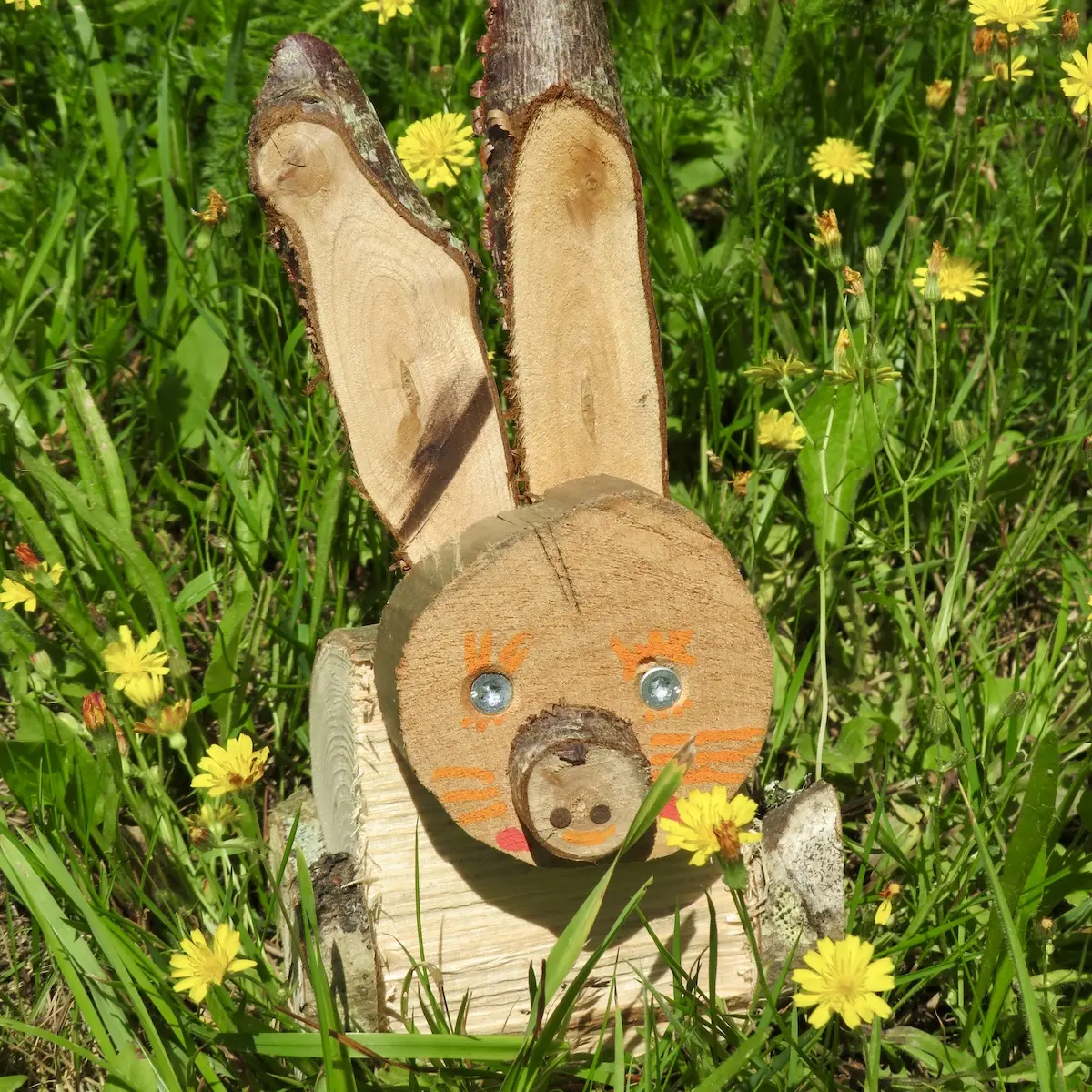 Un beau lapin !