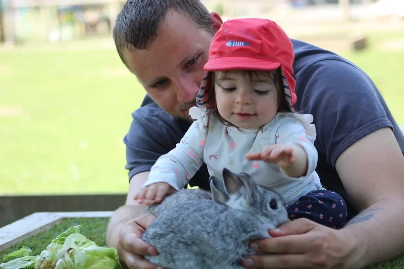 bébés fermiers 2