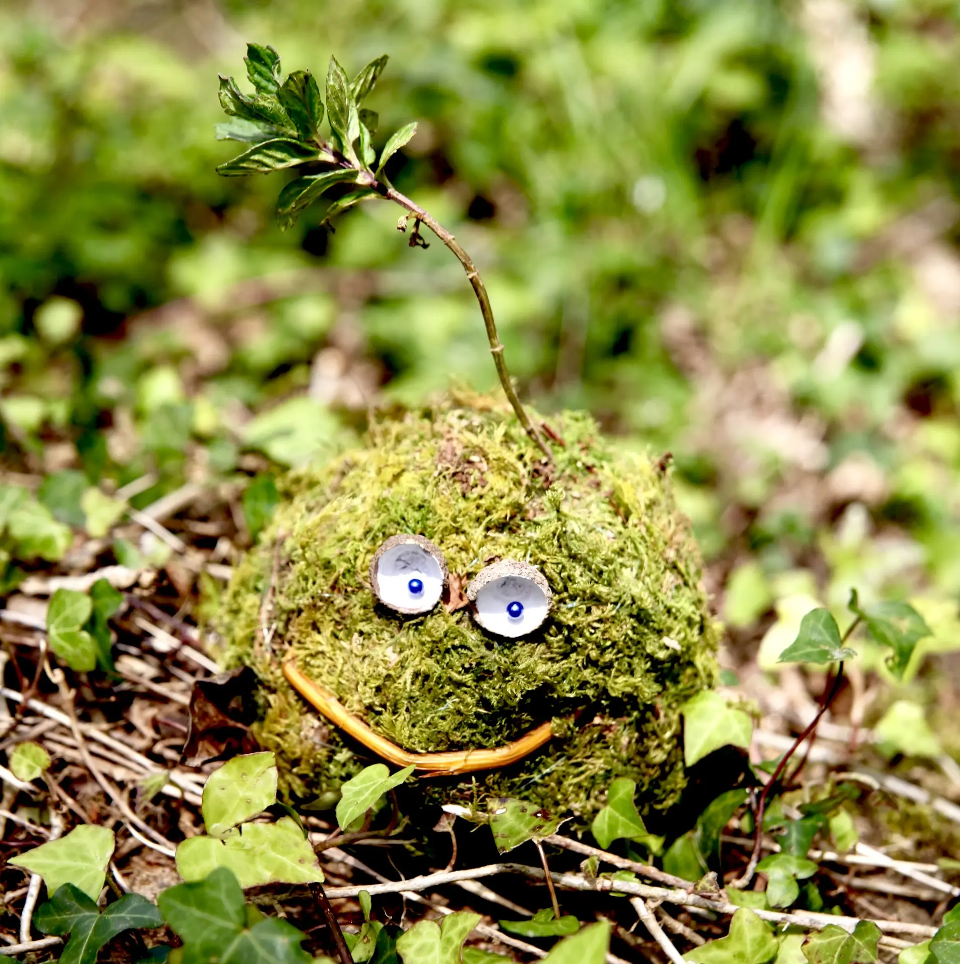 Une drôle de frimousse