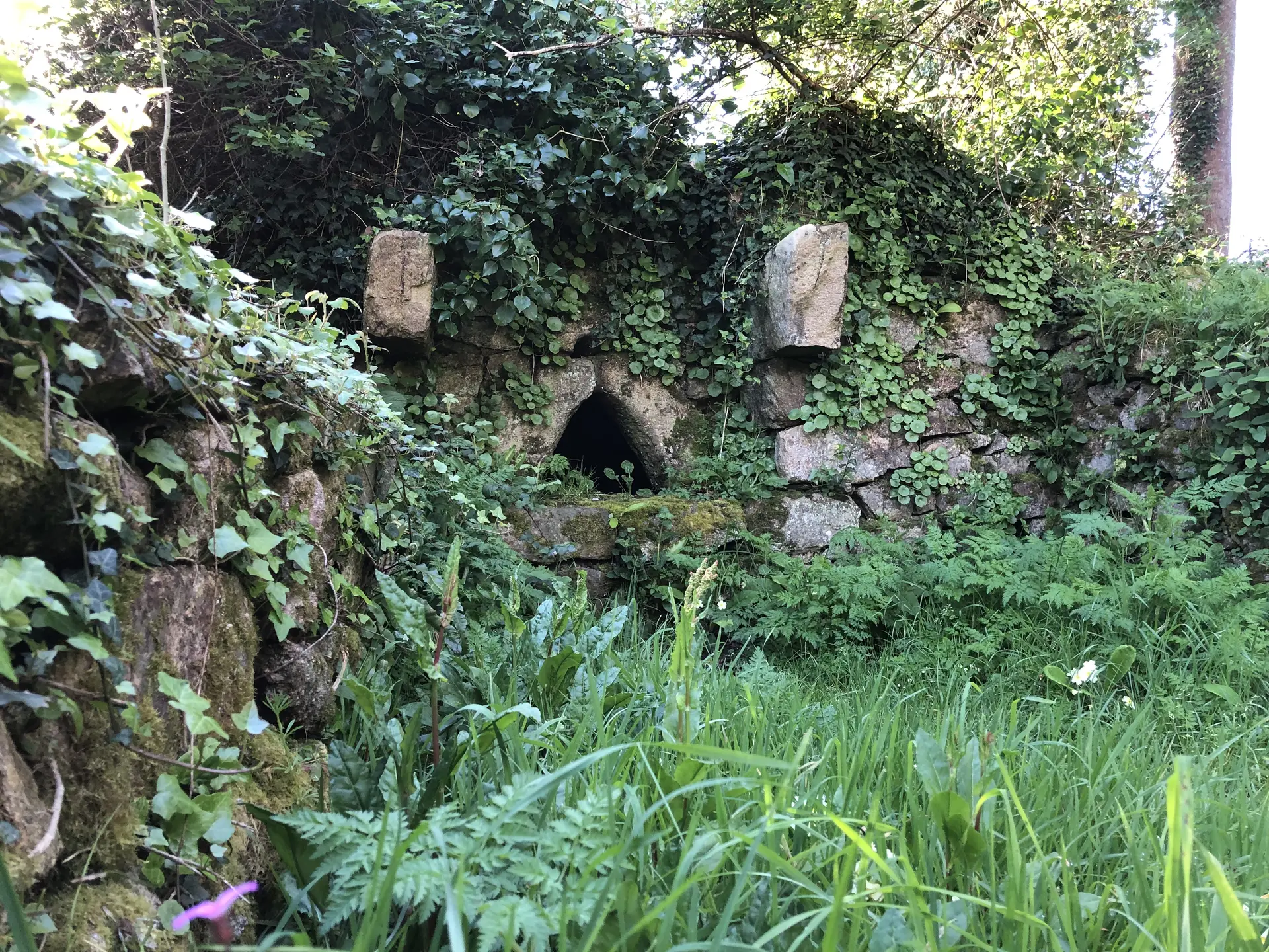 La vallée de Goas Lagorn