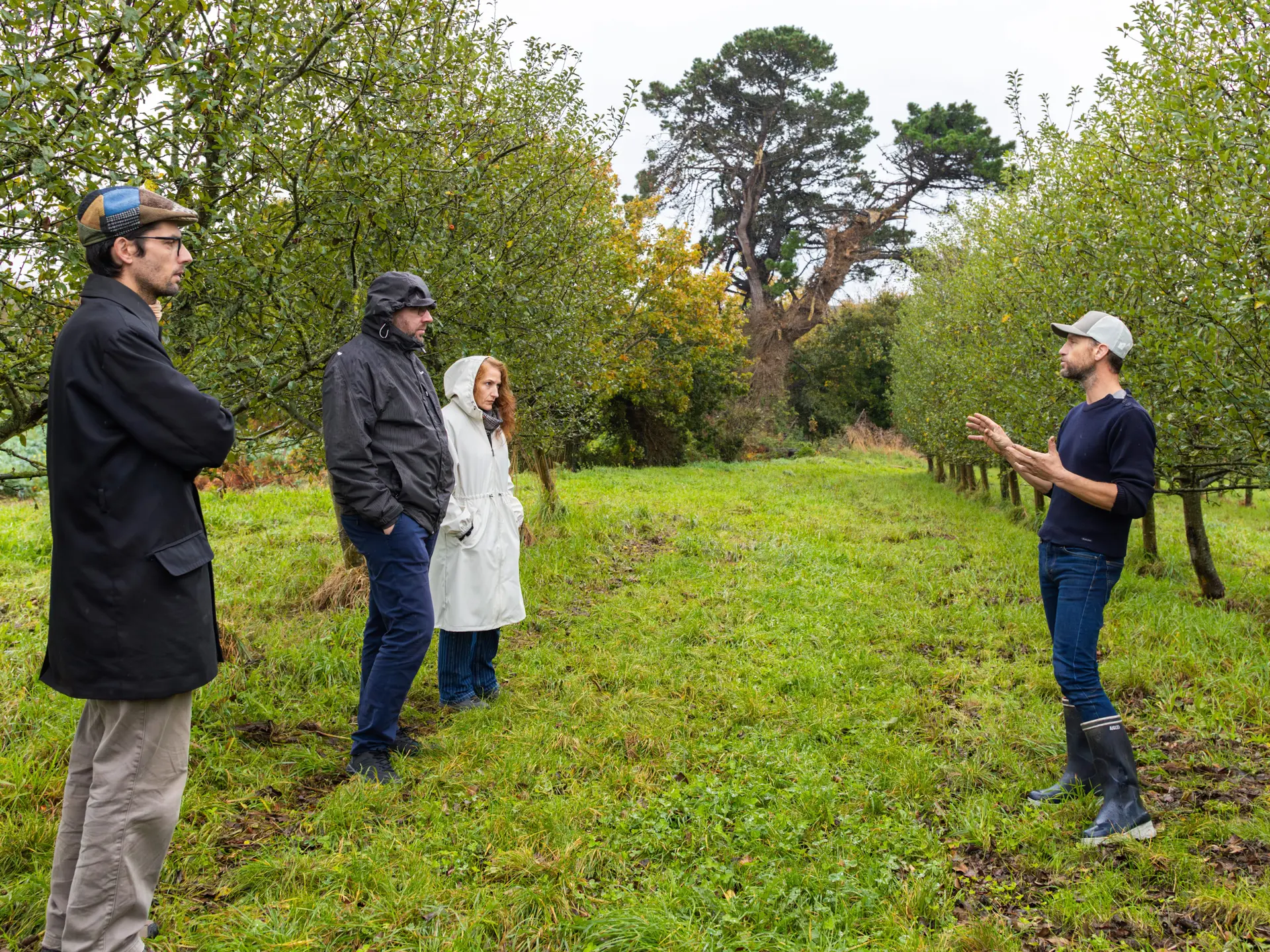 IMG_7430-Enhanced-NR