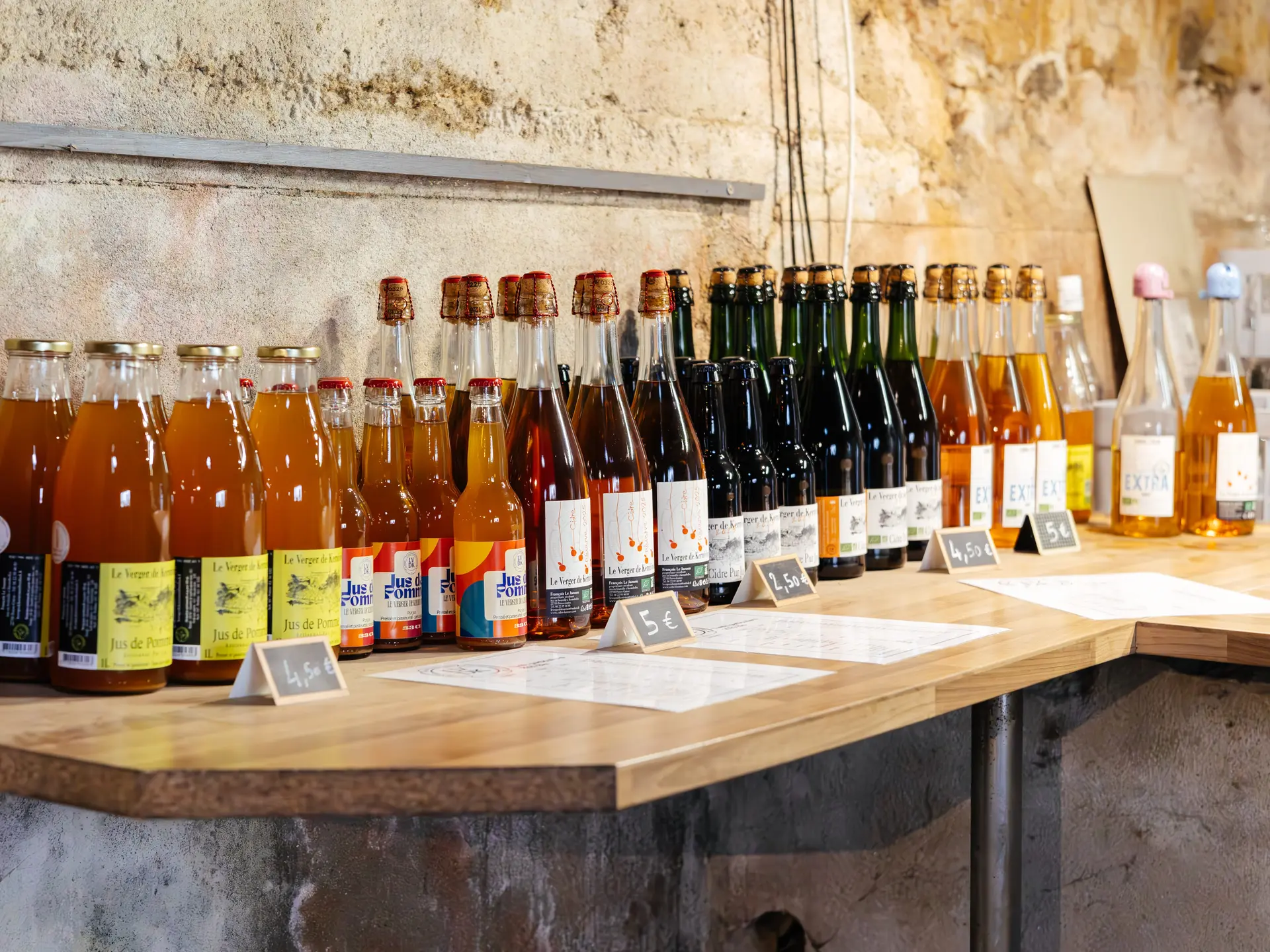 IMG_7573-Enhanced-NR