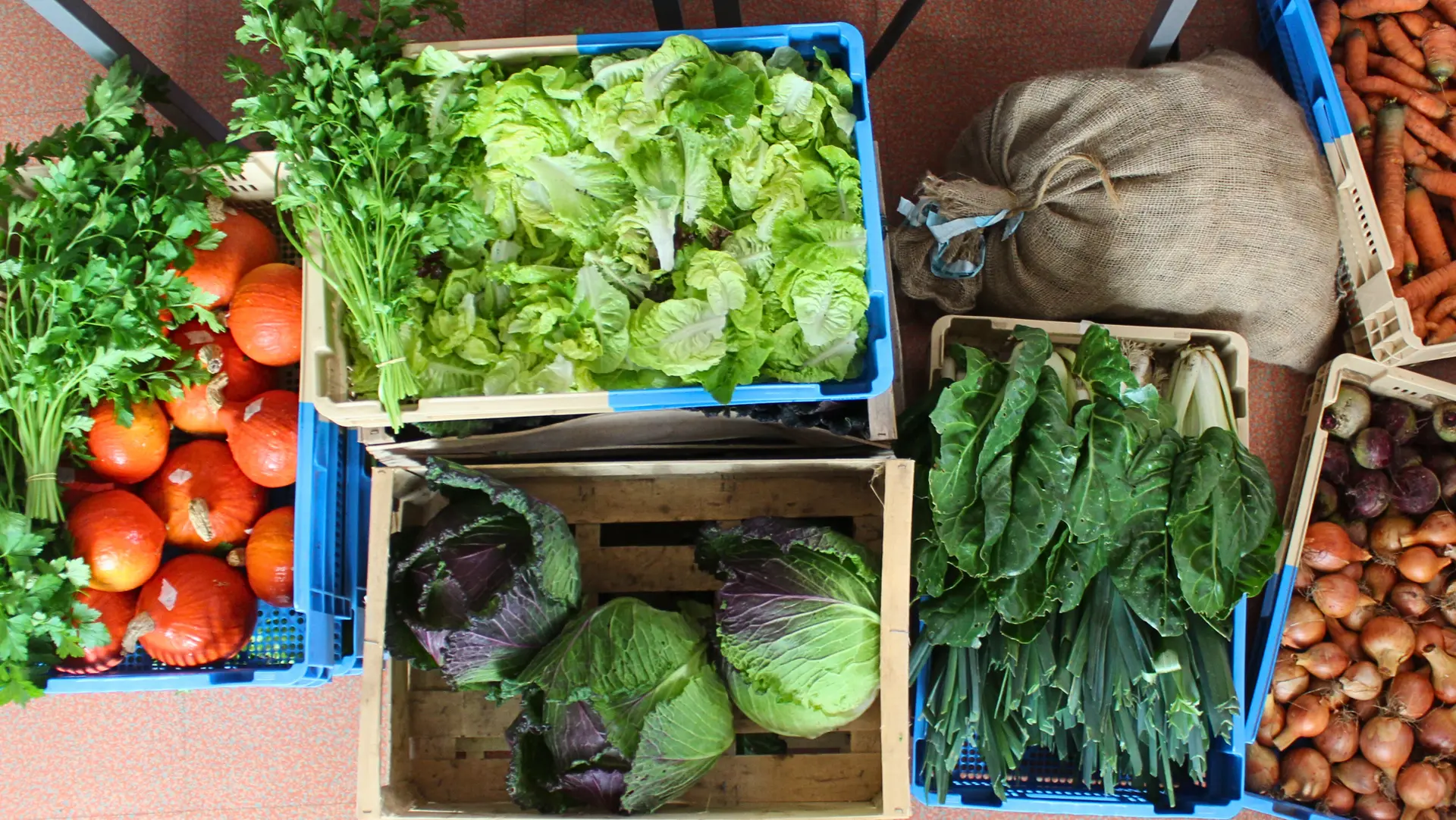 Atelier alimentation