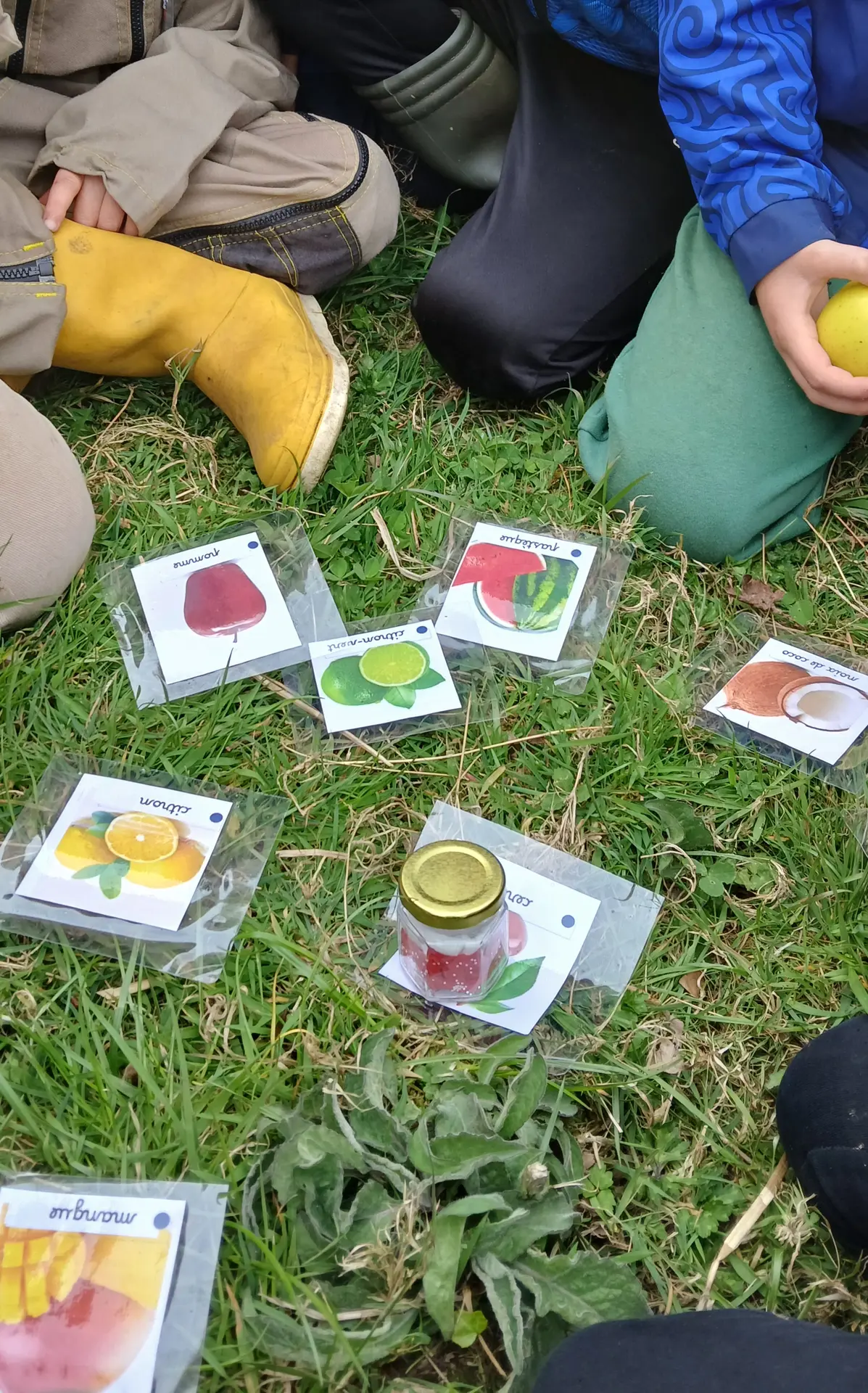 Jeu sensoriel autour de la pomme