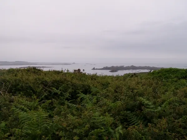 Landes de Bringiller