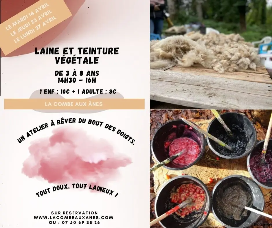 Laine et teinture végétale - Atelier parents/enfants de 3 à 8 ans