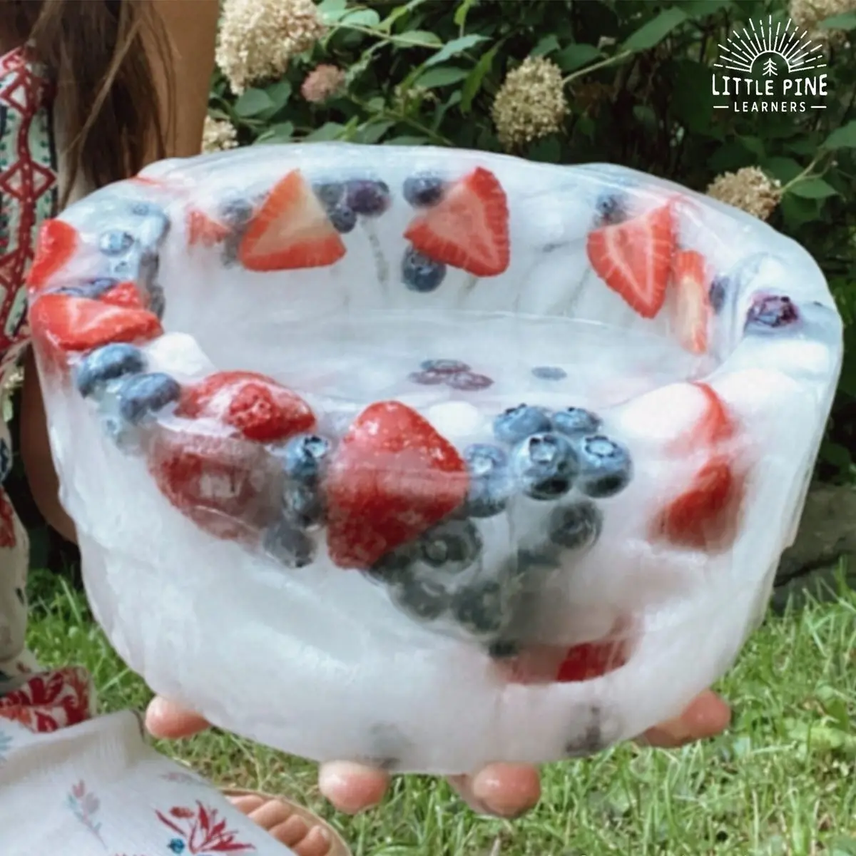 Le goûter givré des animaux