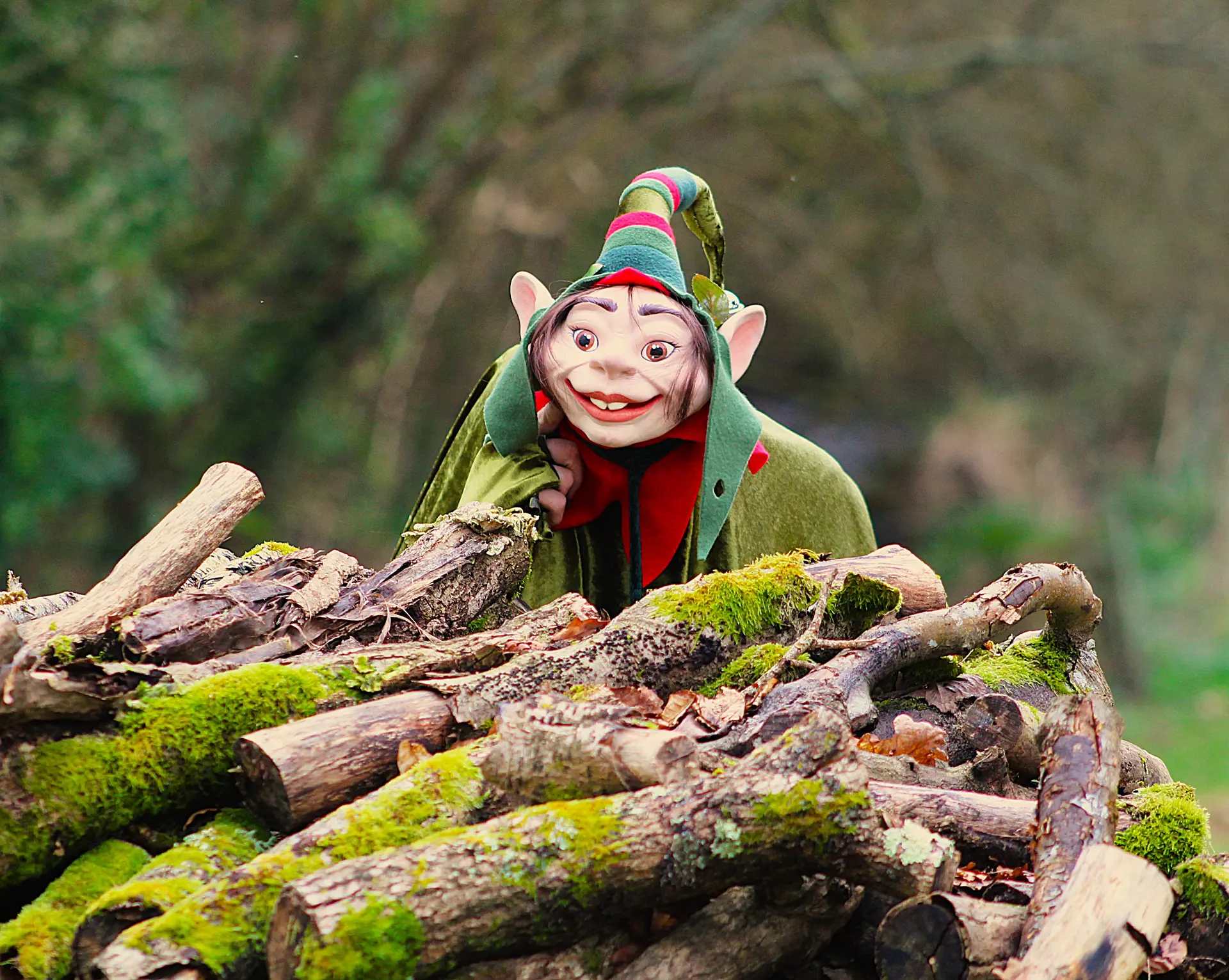 Le grimoire des contes envolés