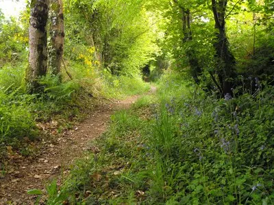 Les chemins de Plounévez-Moëdec