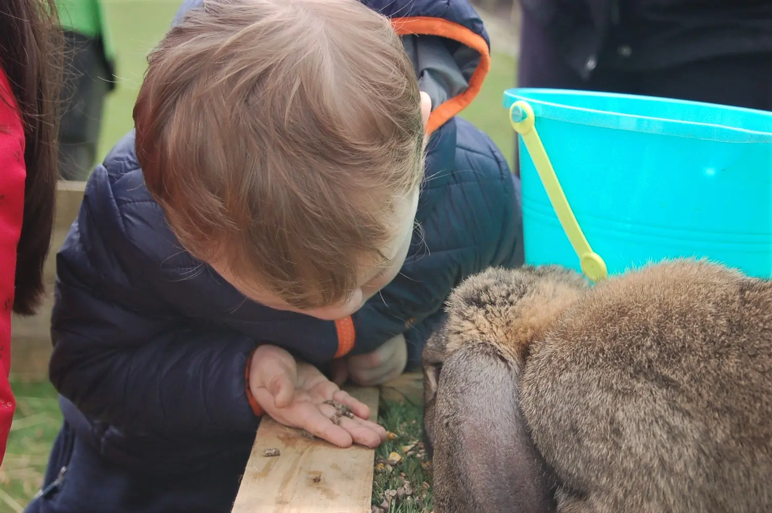 Les lapins et les enfants