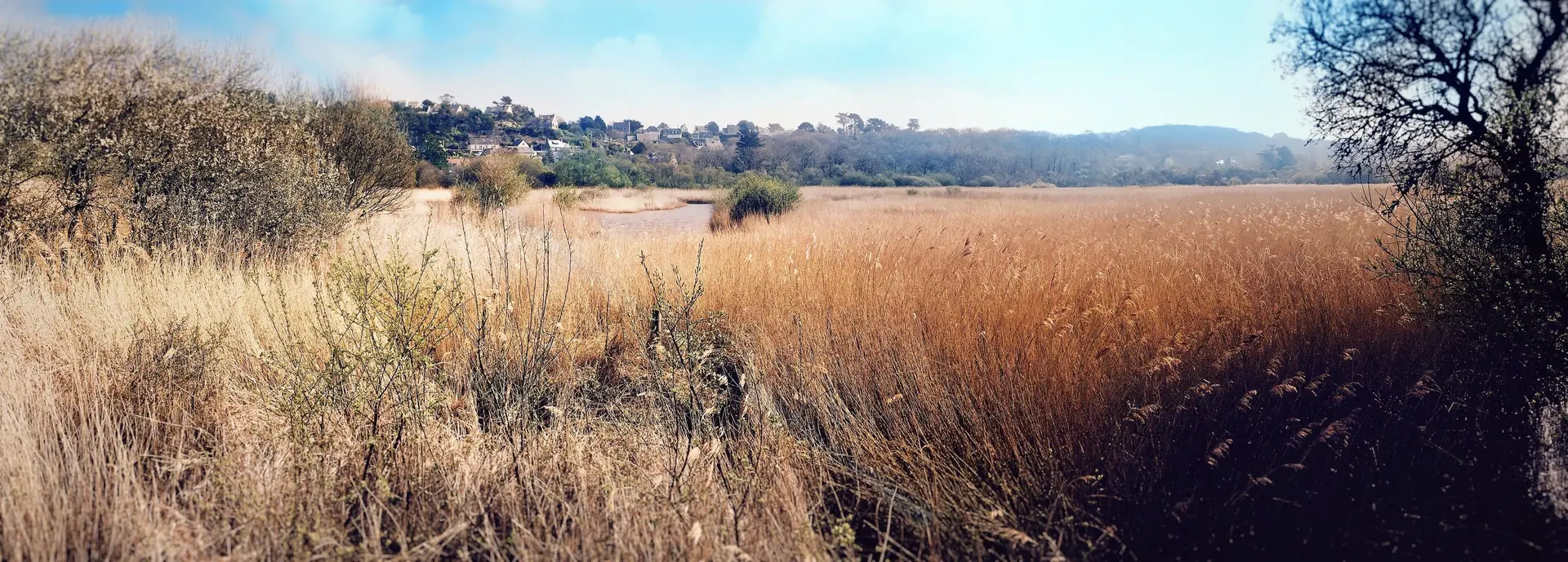 Marais du Quellen
