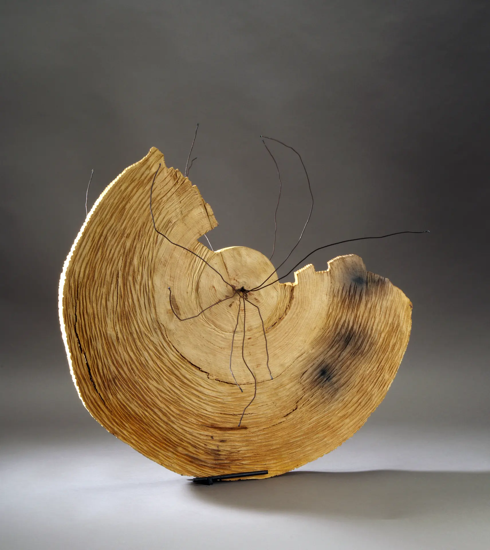 Michelle Winckler 2025 - cercle de silence bois chˆne et m‚tal 43x53x65cm.2018