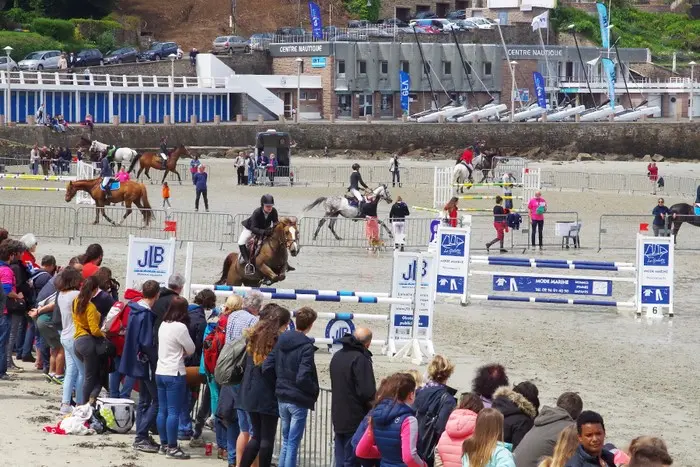 PERROS-JUM2--Copier-