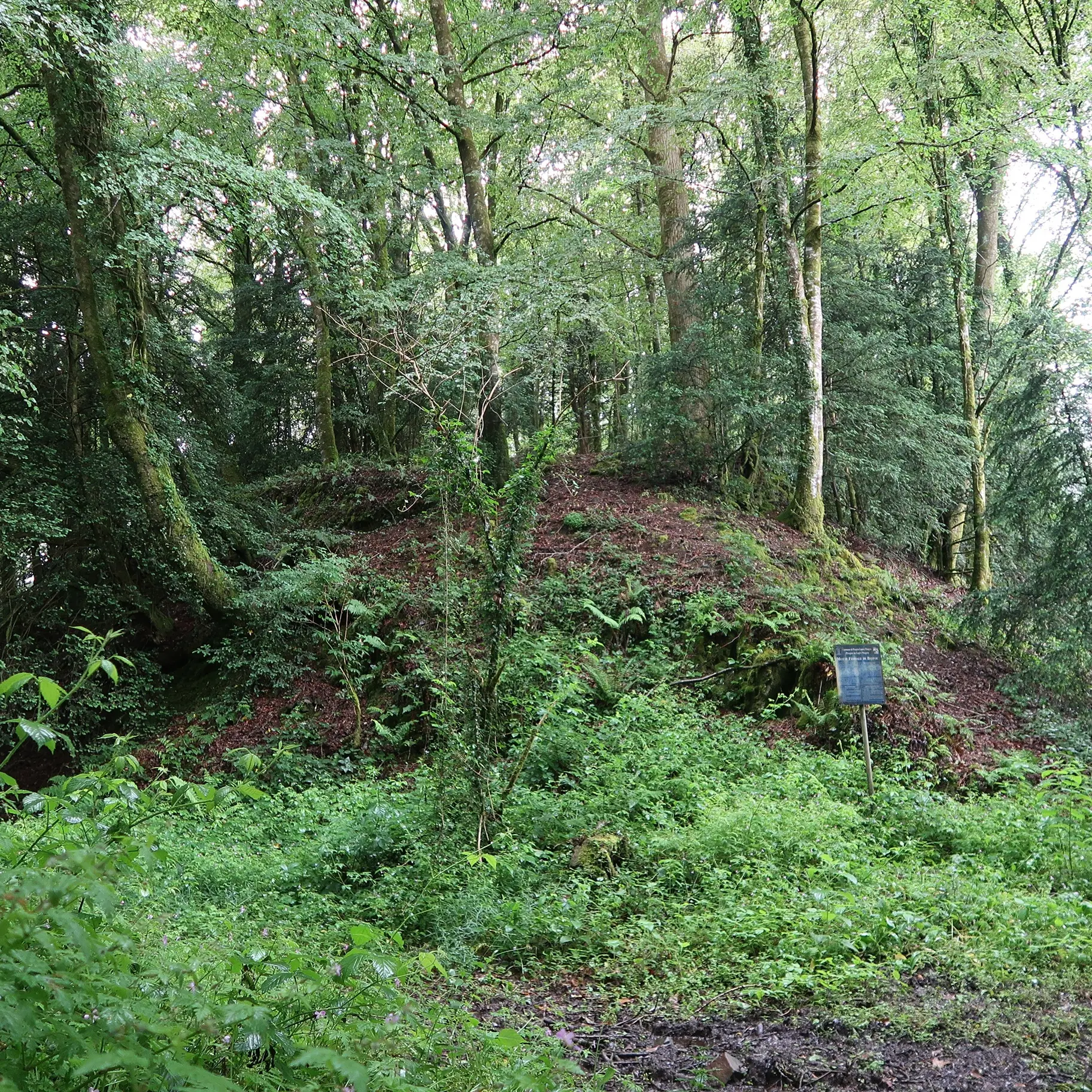 Plougras_Beffou_Residence de chasse_17.05.2025_(c) LTC, Morgane Le Roch