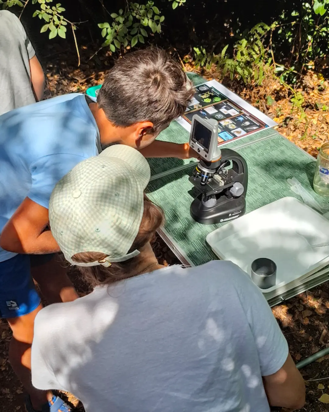 Plancton à la loupe 1