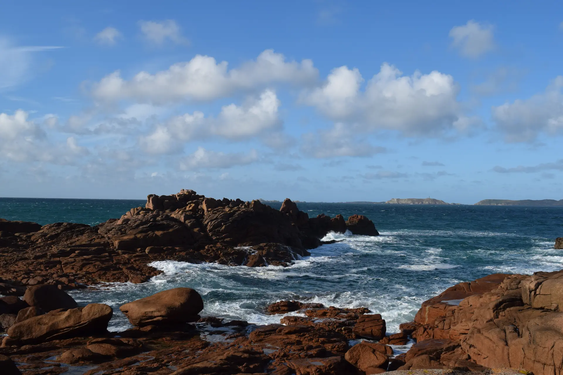 Requin, entre mythes et réalités 1