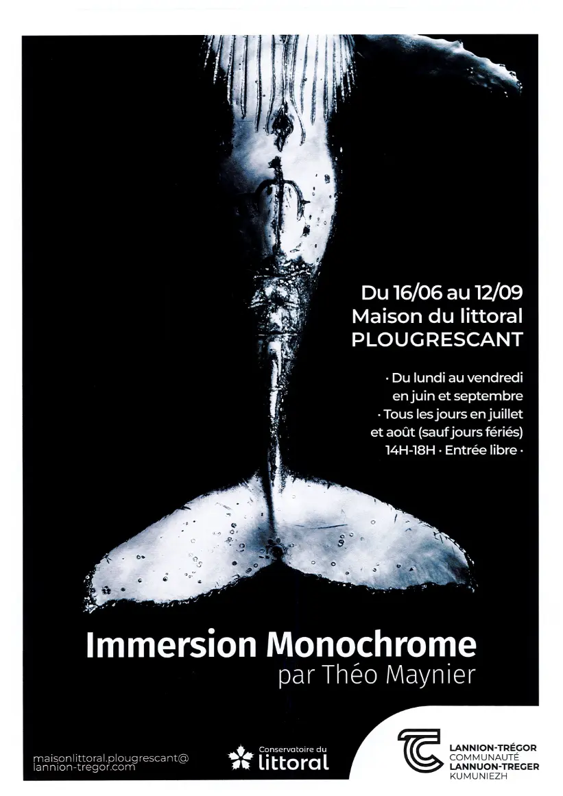 Immersion Monochrome