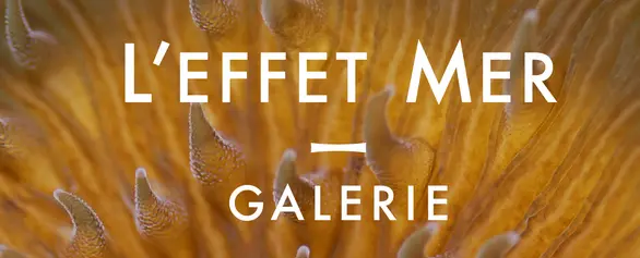 L'Effet Mer