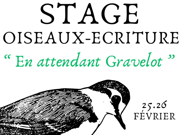 Stage oiseaux et écriture