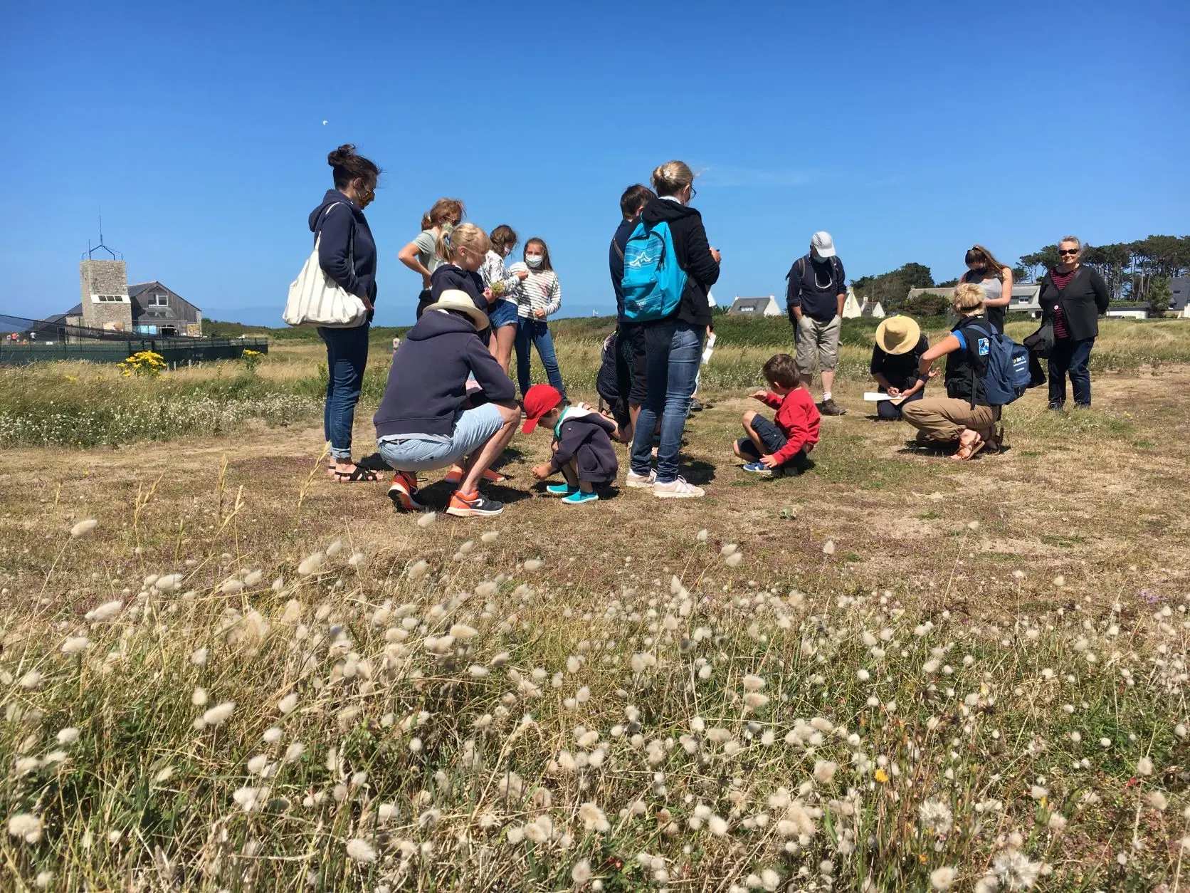 Sortie flore du littoral BR