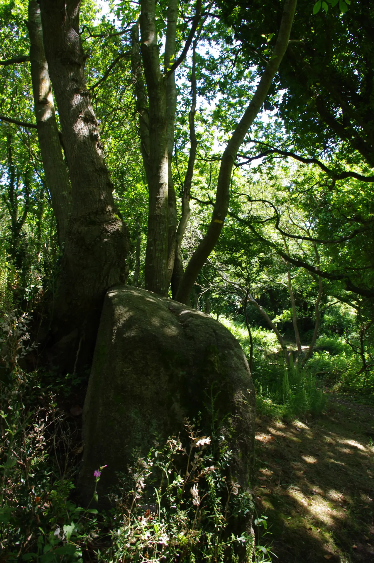 Vallée de Goas Lagorn