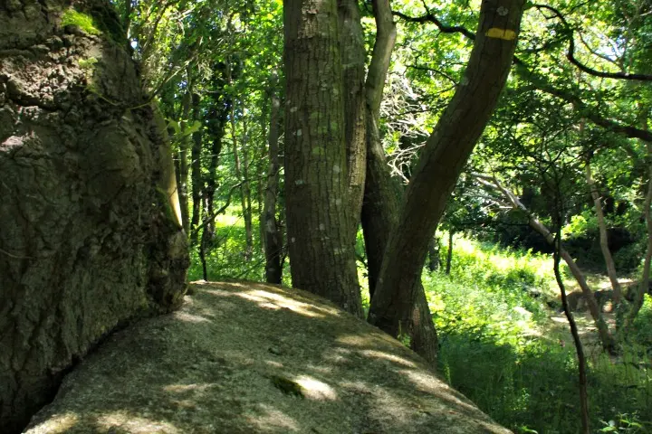 Vallée de Goas Lagorn 9