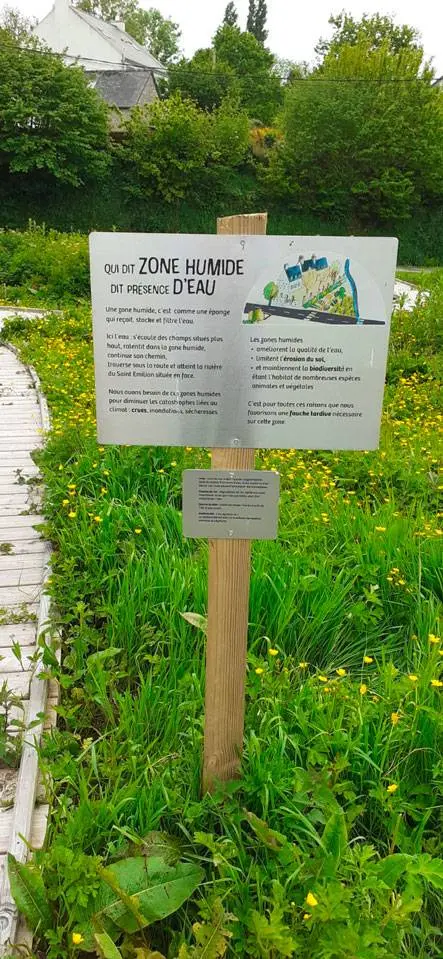 ZONE-HUMIDE convergence loutres