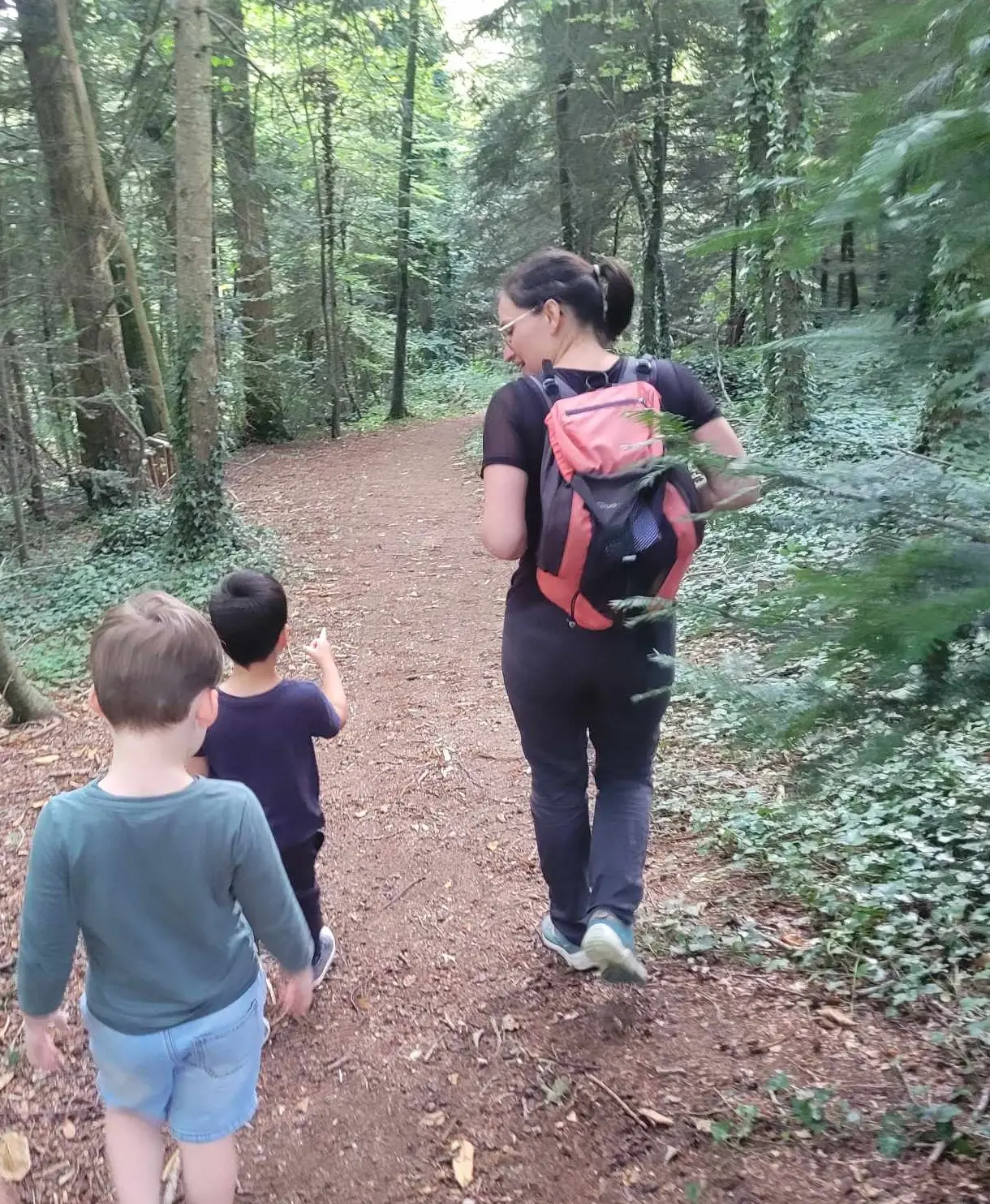 Les habitants de la forêt 1