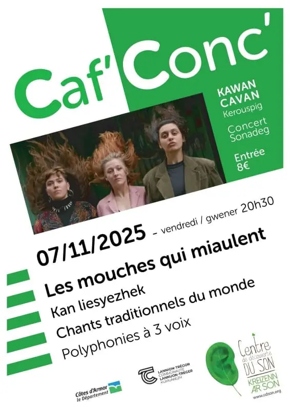 affiche_mouche_qui_miaulent