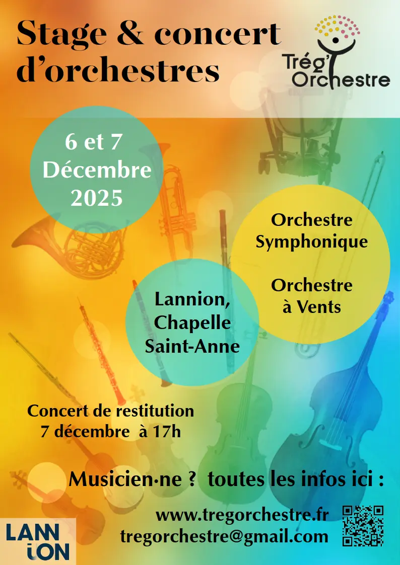 affiche-stage-2025-11