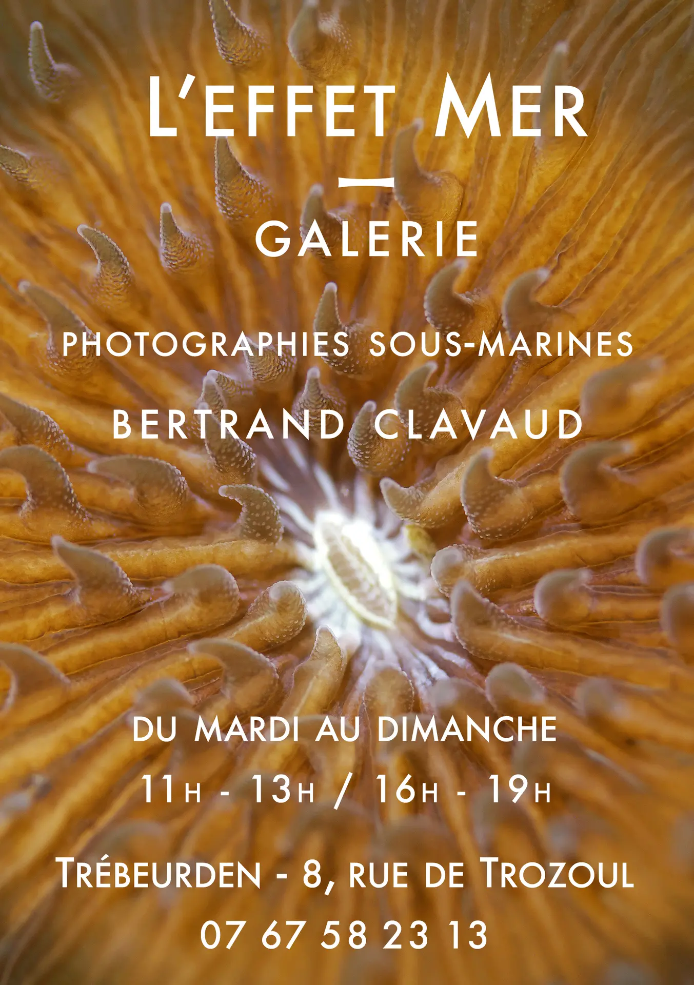 flyer A5 +clavaud