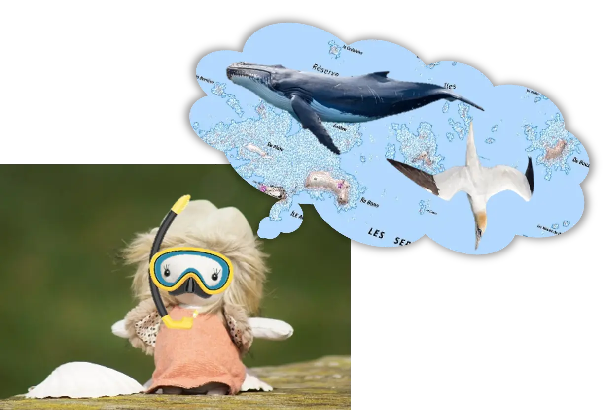 le voyage en mer de boc'han 2