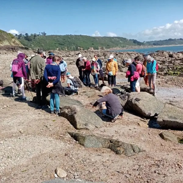 les roches les plus nvieilles de France