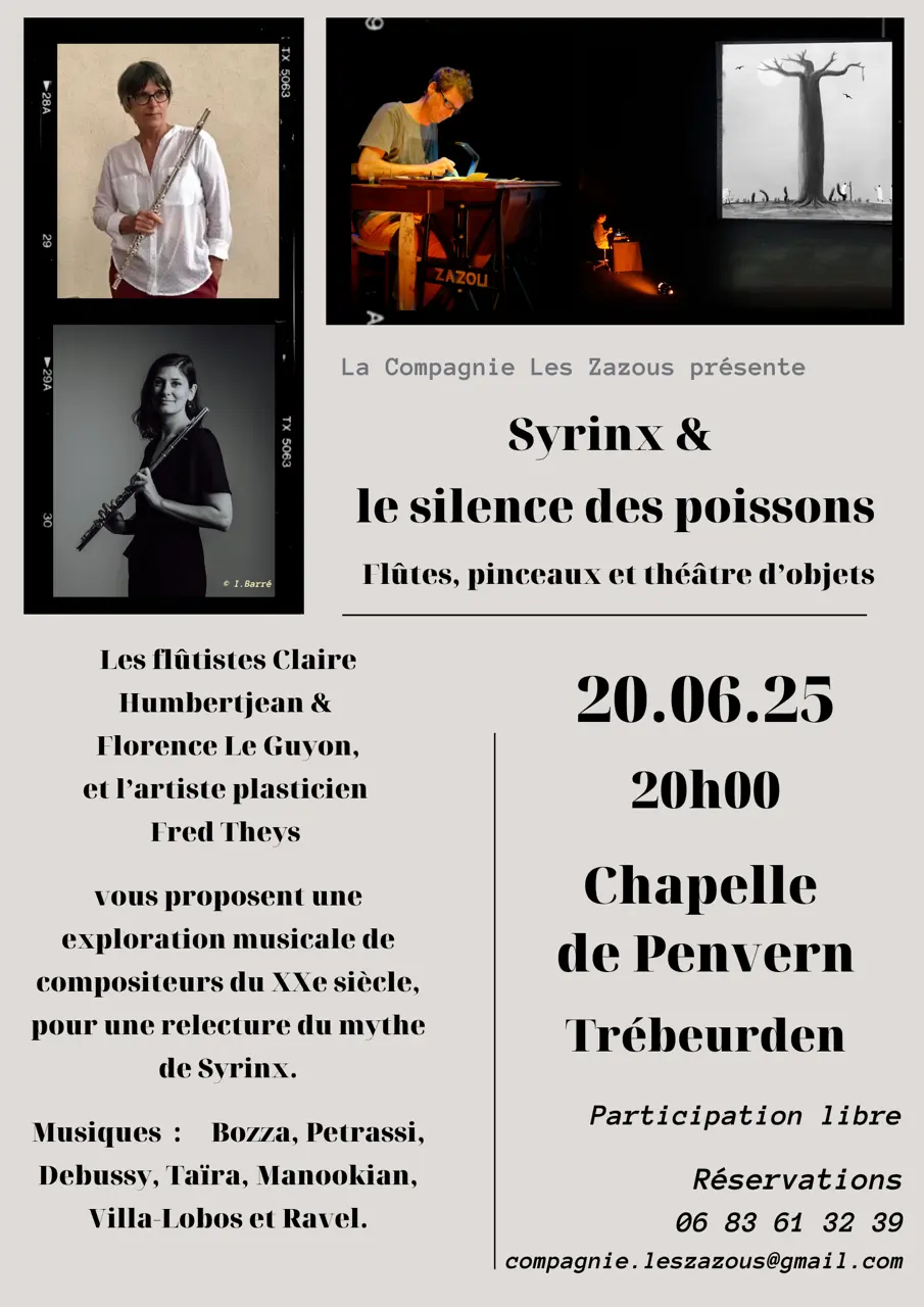 Poster concert musique photomaton - penvern 20/06