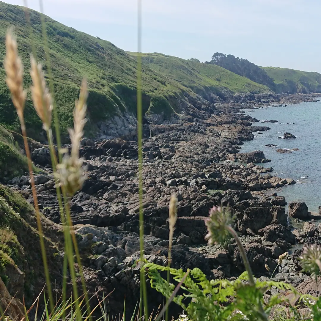La nature des falaises