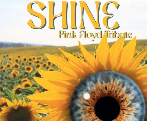 shine