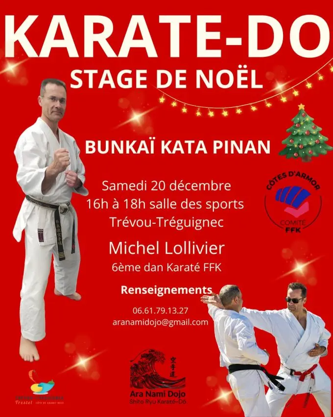 stage-de-noel-karate-do-e1764289906385