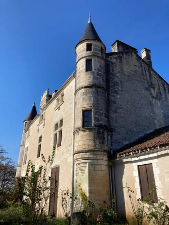 Château de Puymarteau