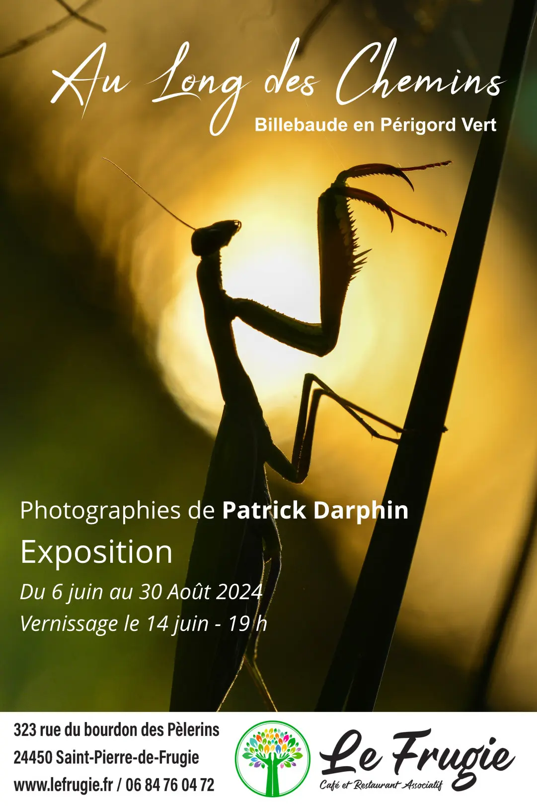 darphin-patrick