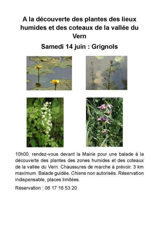 14-juin-grignols