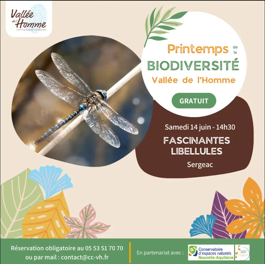 14062025_fascinantes libellules_Sergeac