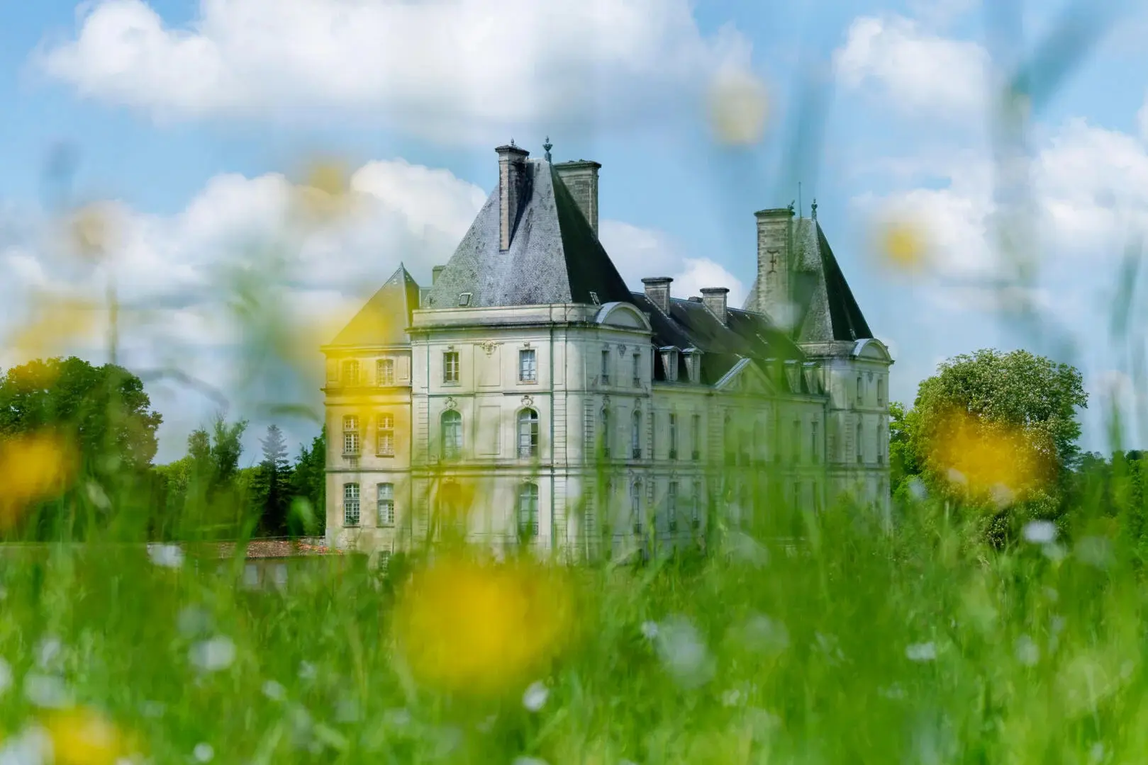 2026 Chateau de fayolle Tocane Saint Apre