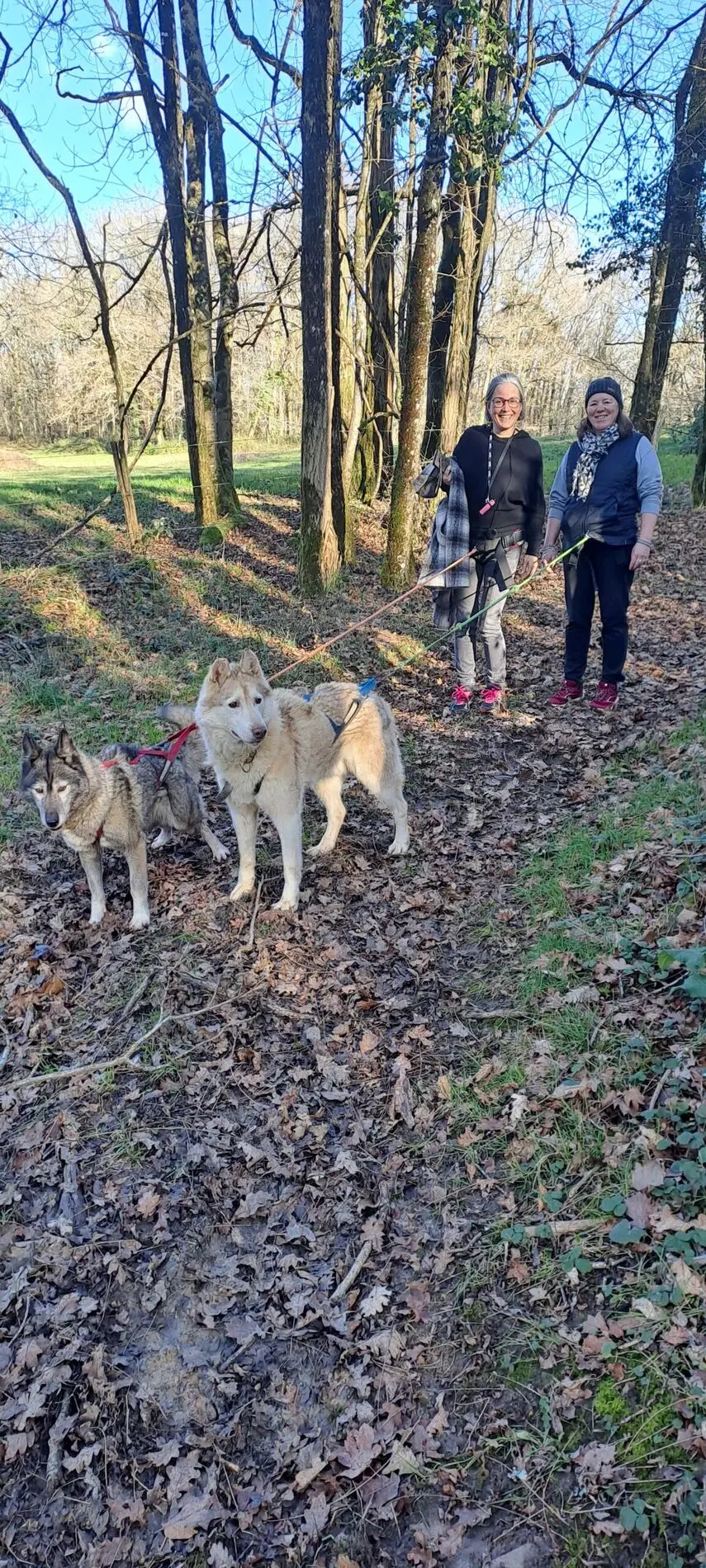 2025 ÉTÉ ACTIF Cani Rando Soudat