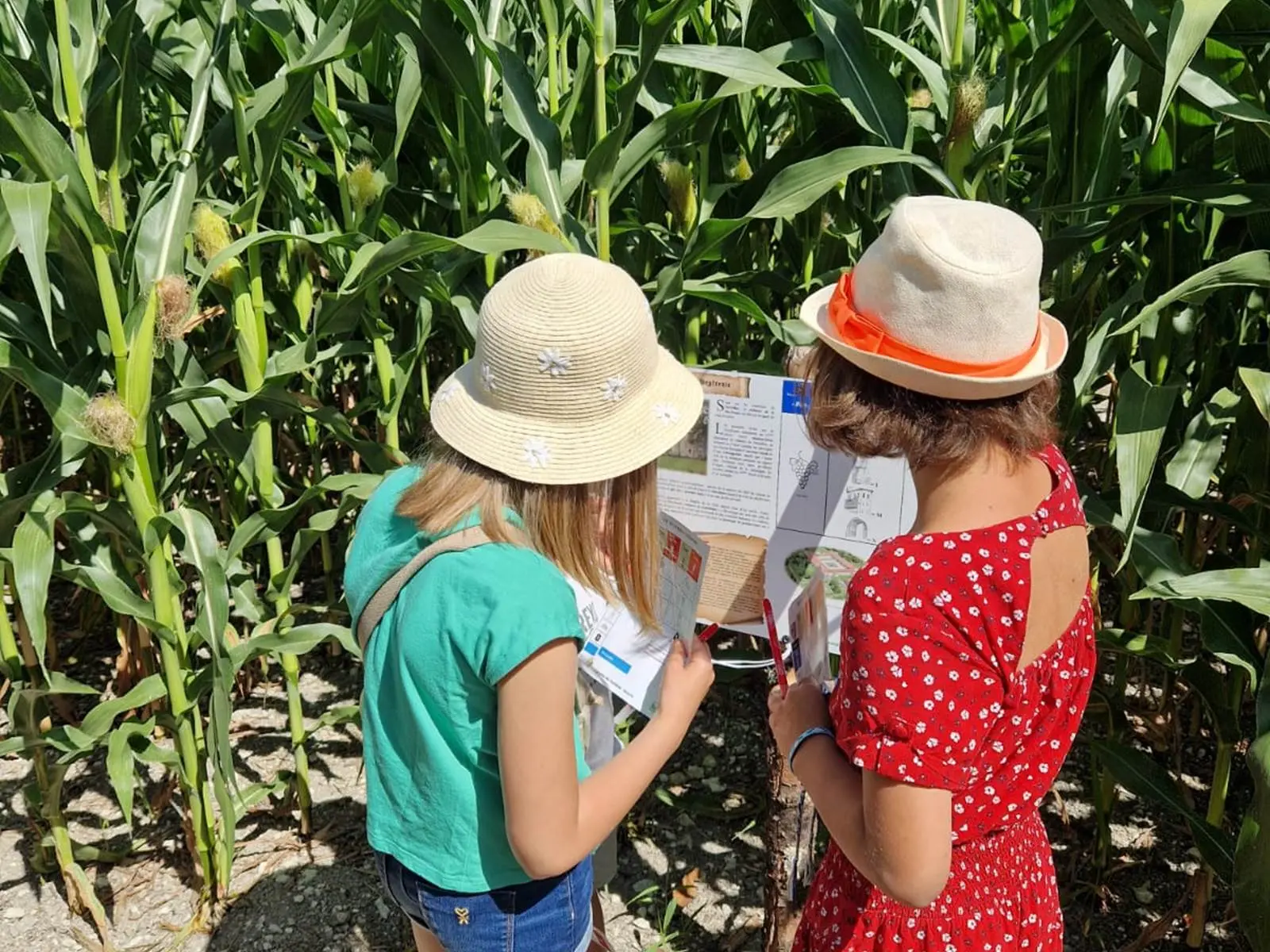 Périgord Inattendu - Été Actif, Labyrinthe-Végétal