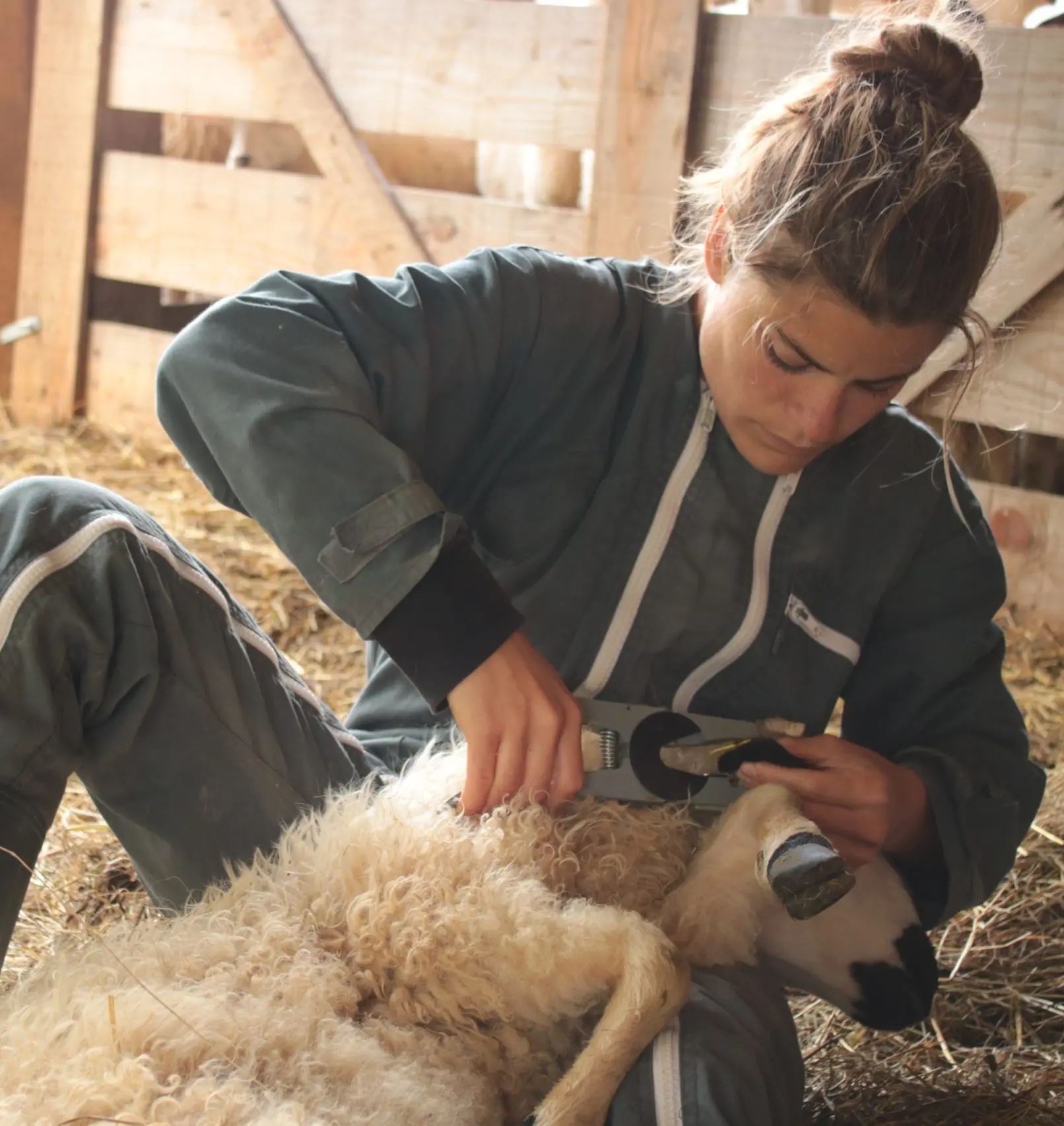 20261124_le champ des femmes