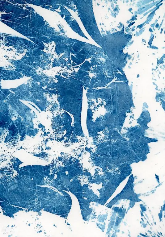 25_Cyanotype - Ken Lecoq