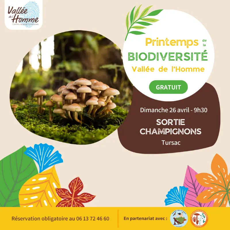 26042026_sortie champignons Tursac
