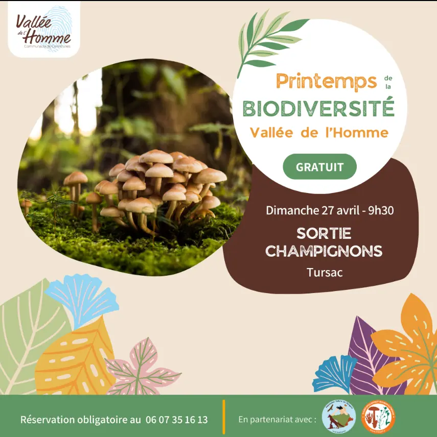 27042025_sortie champignons_Tursac
