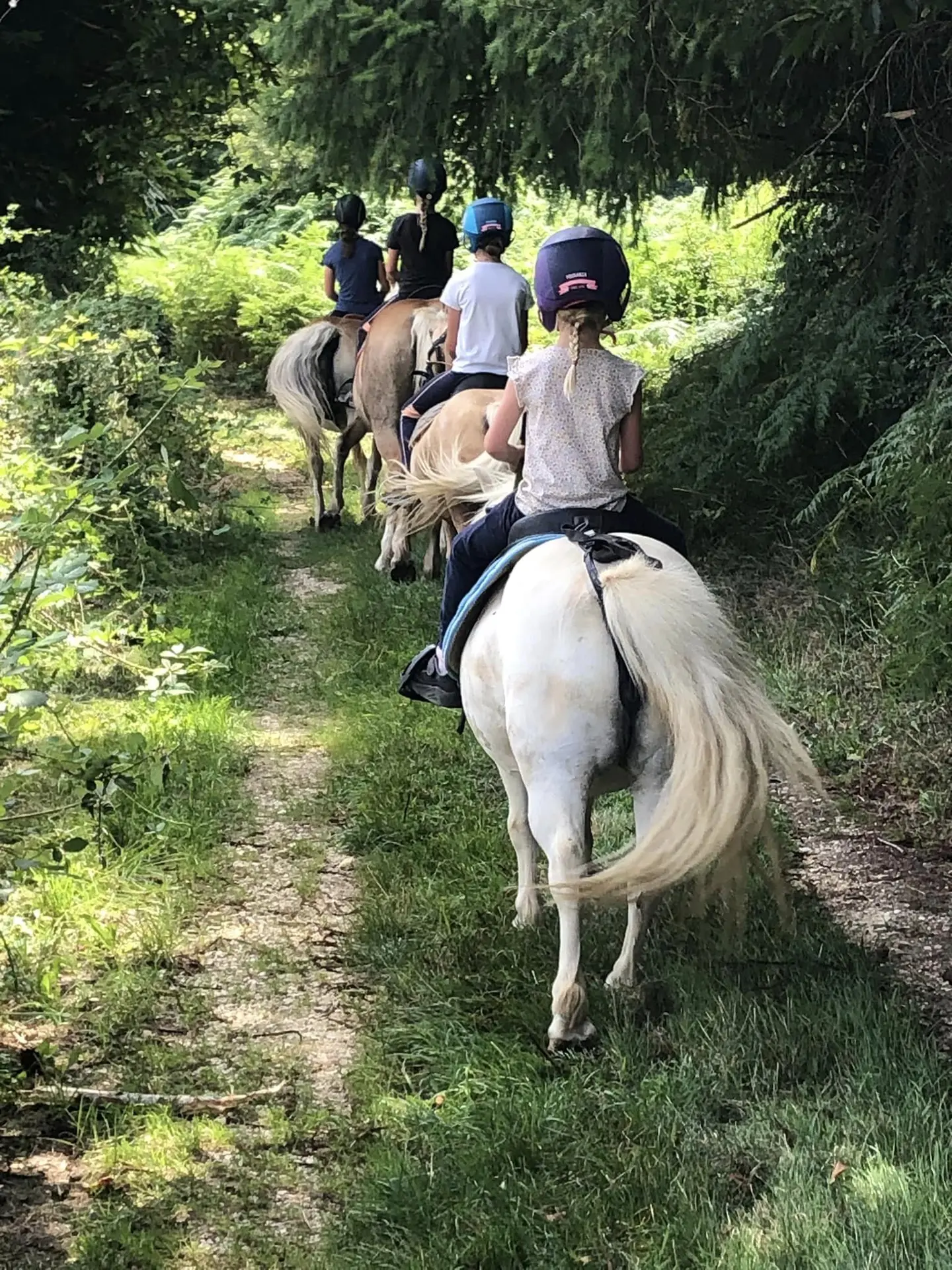 358641698_227727650163510_5538237910517373164_n