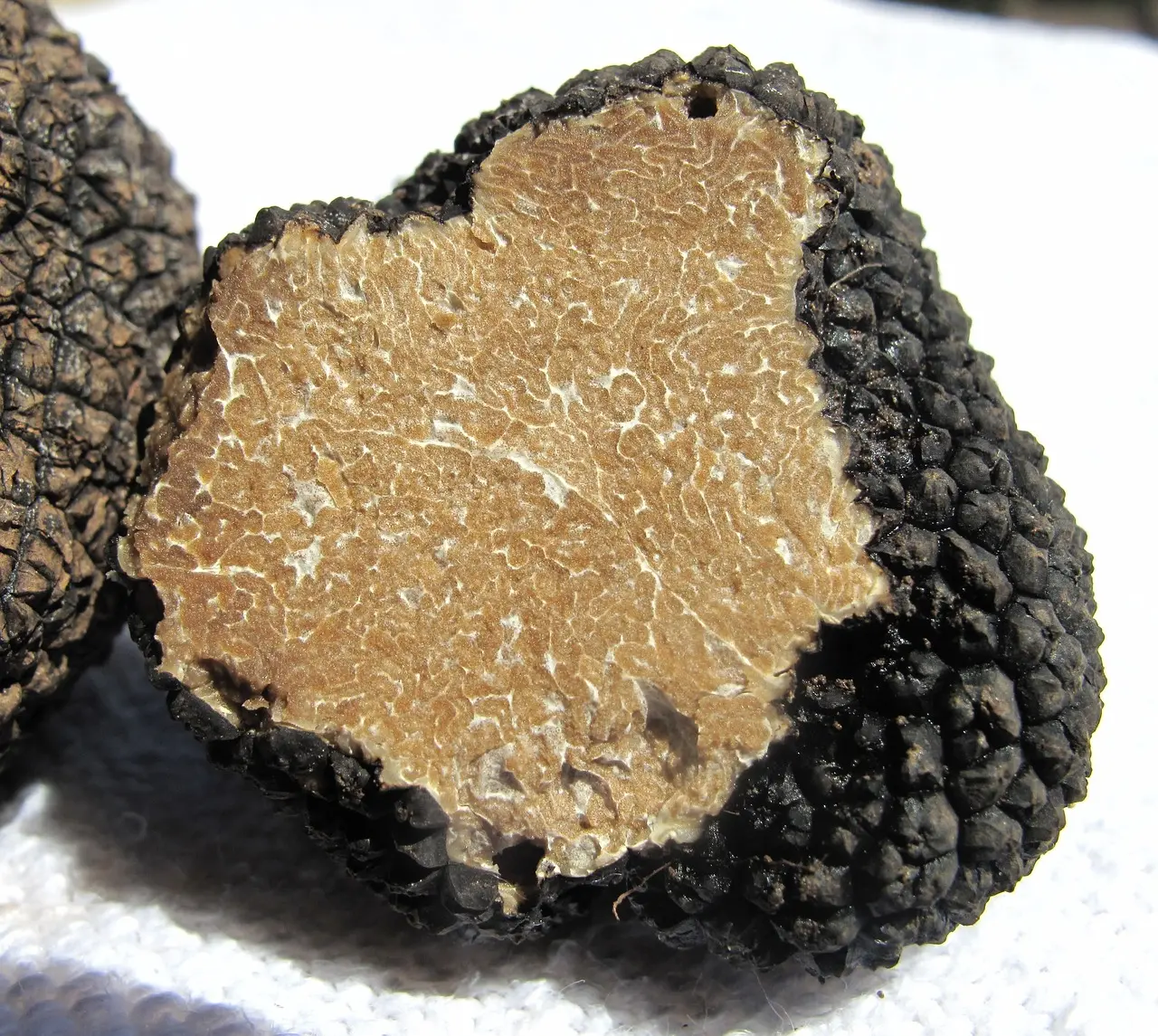Visite Prestige Truffe et Ferme de la Massinie